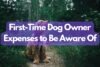 First-Time Dog Owner Expenses to Be Aware Of