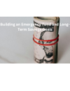 Building an Emergency Fund and Long-Term Savings Goals