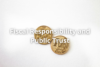 Fiscal Responsibility and Public Trust